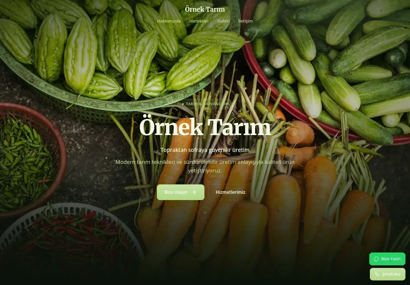 Tasarım 167 önizleme