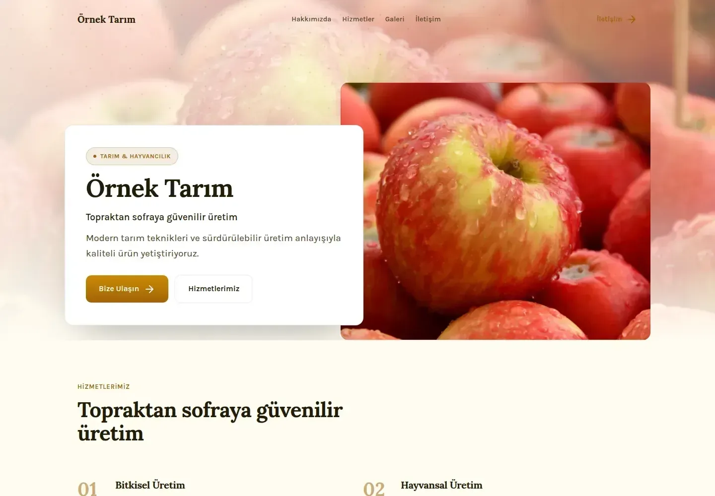 Tasarım 54 önizleme